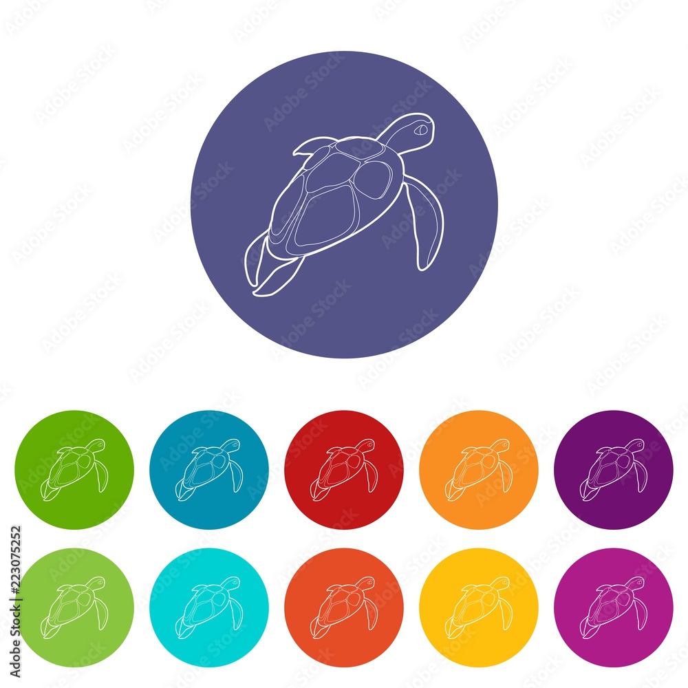 Poster turtle icons color set vector for any web design on white background