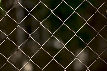 Fototapeta premium Green wire fence on background of green trees