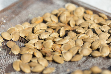 Dry fruit kernel of apricot to dry under the sun