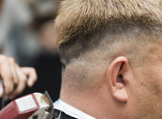 Fototapeta premium Men's haircut in the hairdresser's