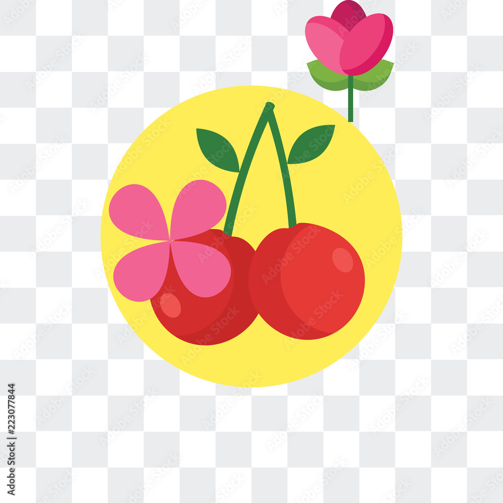 Poster cherry icon isolated on transparent background. modern and editable cherry icon. simple icons vector