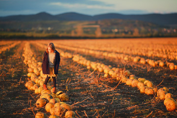 Girl in dark blue coat and orange skirt stands on pumpkins on the field on sunset. Halloween. Beautiful landscape in Hungary