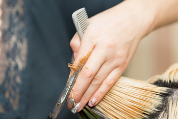 Closeup macro shot image of hairstylist hairdresser cutting customer woman hair in salon with scissors and comb, look from behind back side