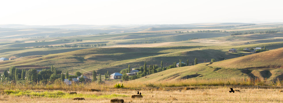 Endless golden color kazakh grass landscape