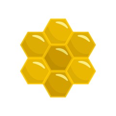 Honey comb of bee icon. Flat illustration of honey comb of bee vector icon for web design