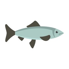 Fresh fish from sea icon. Flat illustration of fresh fish from sea vector icon for web design