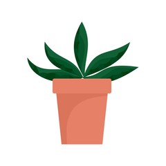Home cactus pot icon. Flat illustration of home cactus pot vector icon for web design