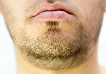 Obraz premium male beard close-up