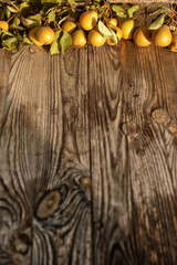 Frische reife gelbe und orange geschmackvolle und saftige Birnen, am Zweig mit Laub auf rustikalem hölzernen grauen Hintergrund mit freiem Platz für Ihren Text