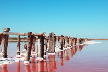 Beautiful view of pink lake on summer day