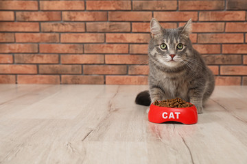 Adorable cat near bowl of food indoors. Pet care
