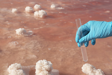 Laboratory worker with test tube taking sample from pink lake for analysis, closeup
