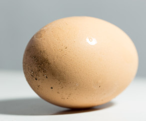 egg macro