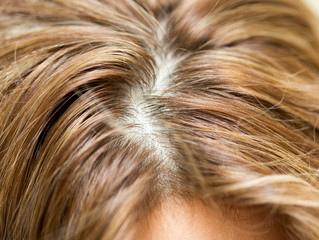 Women's hair is a top view close-up