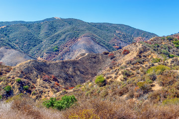 Wildfire burn scars from forest fires in Southern California mountains