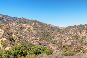 Trails and dry brush on summer morning in Southern California mountains