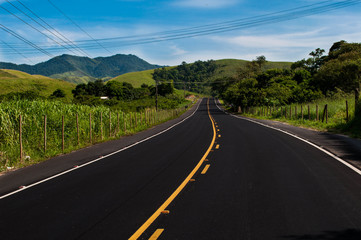road in the forest