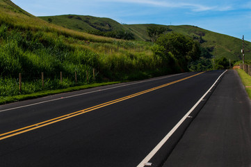 road in the forest