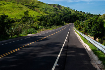 Fototapeta premium road in the forest