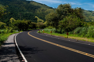 road in the forest