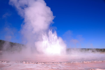Yellowstone Geyser