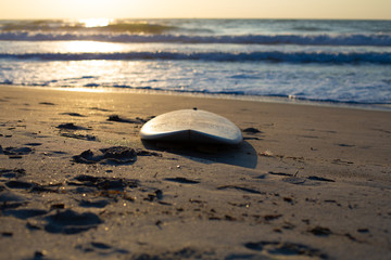 Obraz premium Sunrise Surf Board