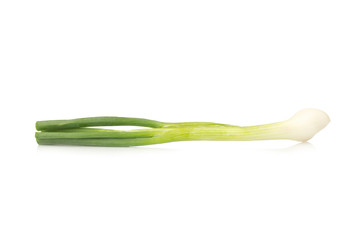 Spring onion isolated on white background