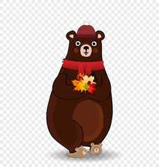 Cute autumn bear in red knitted scarf and hat holding maple leaves isolated clip art.