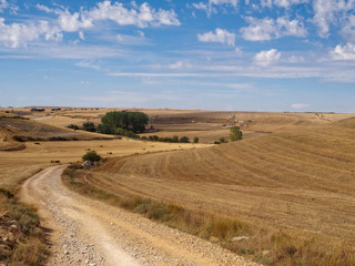 Curving dirt road through the Meseta - Hornillos del Camino, Castile and Leon, Spain