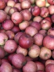 Organic green apples for sale at Autumn farmers market