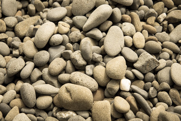 Sea pebble / stones background/ beach rocks on Ruby Beach