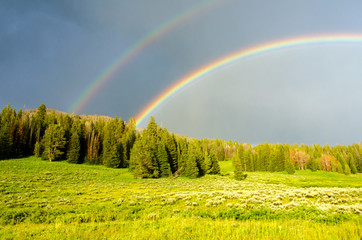Wyoming Rainbows