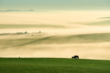 Obraz premium The morning air of Hulunbuir grassland of China.