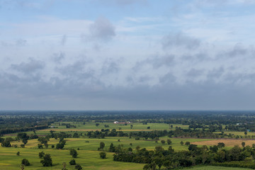 Fototapeta premium High angle view of forest and rice fields.