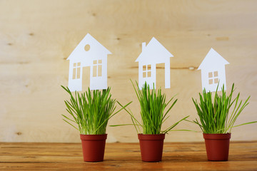 Paper models of houses in pots with a green grass on a wooden background