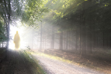 Jesus Christ walking after His resurrection. Figure in sun lights. Sunning shine in forest.