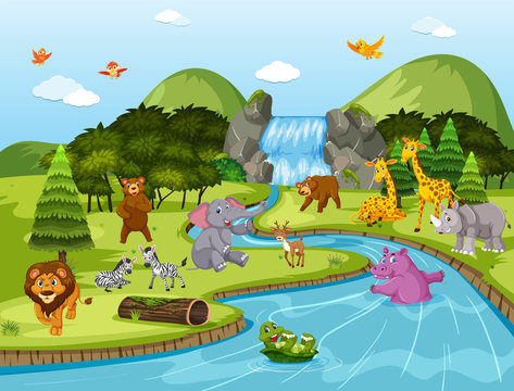 Animals in waterfall scene