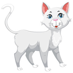 White cute pet cat