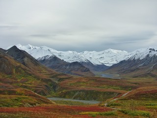 Fototapeta na wymiar Fall in Denali National Park, Alaska