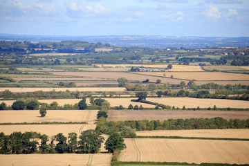 Fototapeta na wymiar Farming plots from above in countryside in Bratton, England