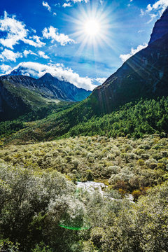 DaoChengYa butyl scenic area in sichuan province