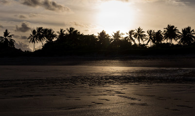 Sunny day on the beach. Sunset between coconut trees. Warm day in the sand.