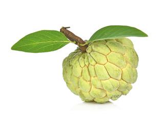 Fototapeta premium Custard apple isolated on white background,annona