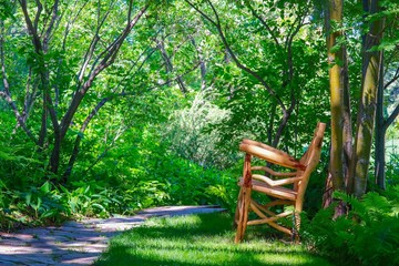 Fototapeta na wymiar chair in the garden