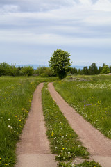 Fototapeta na wymiar Sand road in the country in Sweden