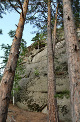 In the mountain forest, State National Natural Park 