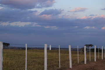Fototapeta premium Fence