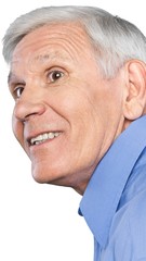 Portrait of a Smiling Senior Man