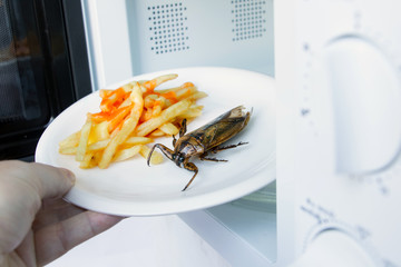   Fried Giant Water Bug - Lethocerus indicus with french fries on a plate are heated in a microwave.