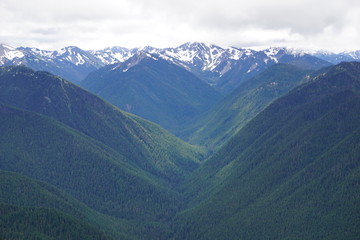 Green mountain valley